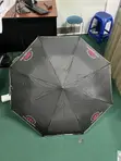 Branded Umbrellas for Promotion - 4