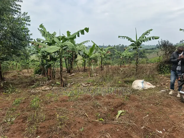 1.8 Acres Agricultural Land for Sale in Kyenjojo District - 1