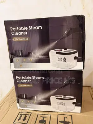 2500W High-Pressure Portable Steam Cleaner