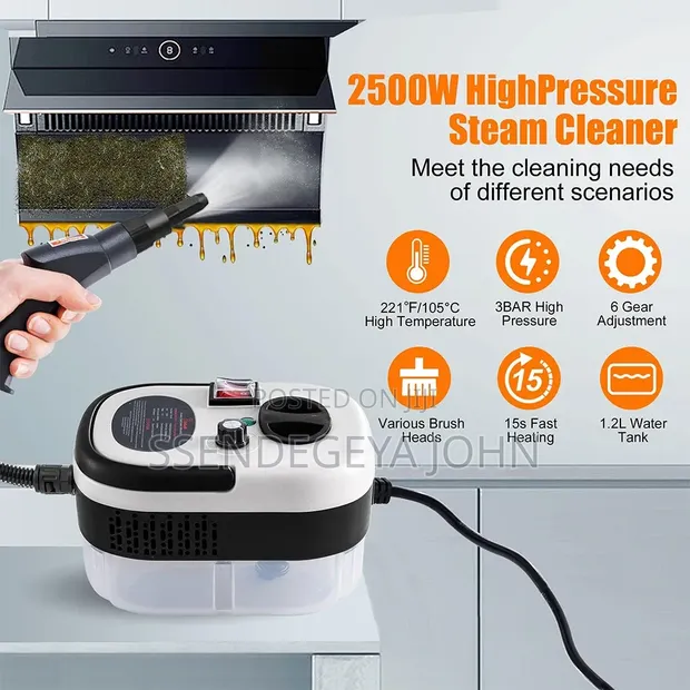 Portable Steam Cleaner (2500W) - 1