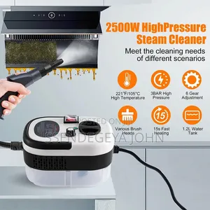 Portable Steam Cleaner (2500W)
