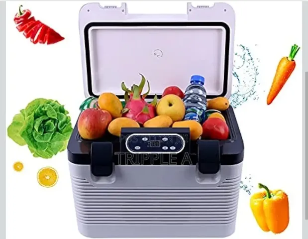 19 Litre Portable Refrigerator for Car & Home - 1