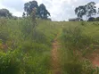 12 Acres Farmland for Sale in Katooke, Kyenjojo District - 3