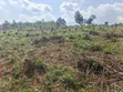 12 Acres Farmland for Sale in Katooke, Kyenjojo District - 5