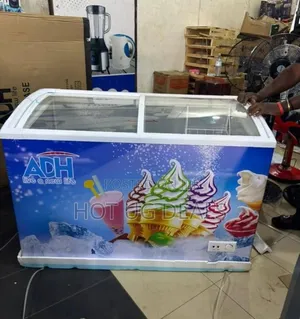 ADH 500L Showcase Display Freezer - Ice Cream Freezer