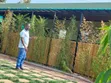 Durable Bamboo Poles - 2