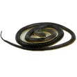 Realistic Rubber Snake Toy - 132cm - 3