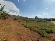 Land for Sale - Gayaza Kiwenda - 2