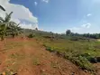 Land for Sale - Gayaza Kiwenda - 3
