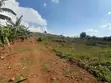 Land for Sale - Gayaza Kiwenda - 4