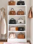 Modern Bags Shelves - 2