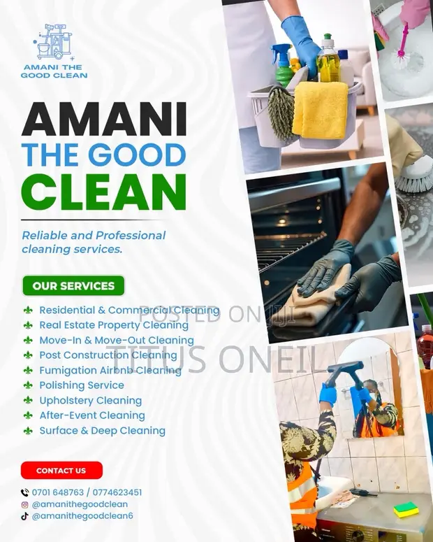 Armani The Good Clean - Professional Cleaning Services - 1