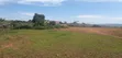 1.6 Acres Hilltop Land for Sale, Kasenge - 5