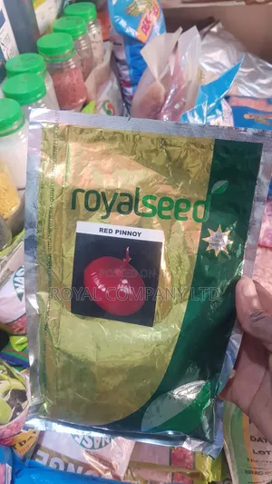 Royal Gold Red Pinnoy Onion Seeds - 250g / Half Acre