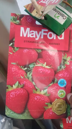 Strawberry Seeds - 12 Seeds per Pack