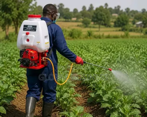 Motorized Knapsack Sprayer Pump - 1