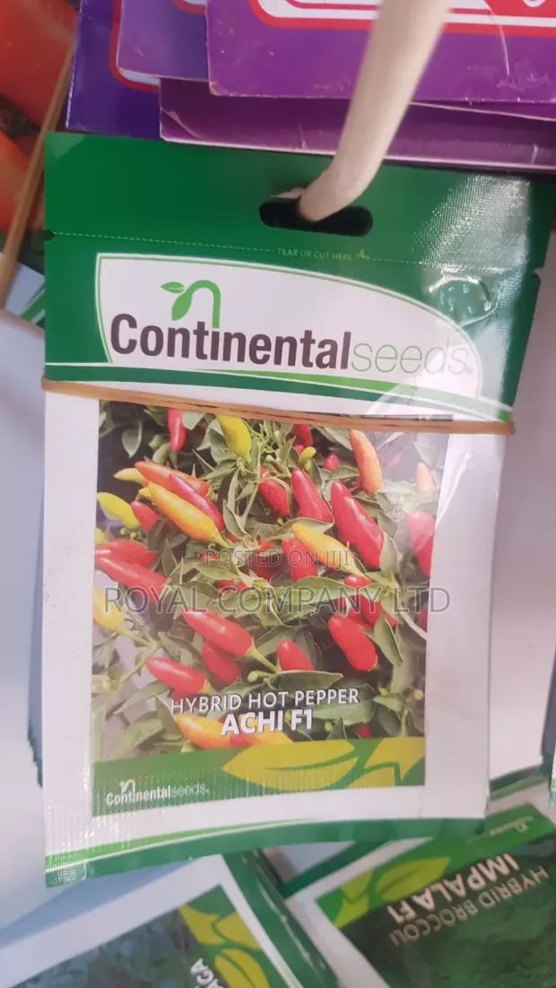 Hybrid Hot Pepper Achi F1 Seeds - 1