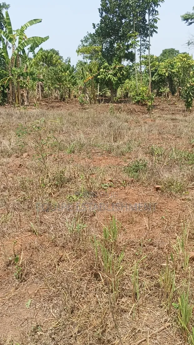 Land for Sale in Kikandwa, Mukono - 1
