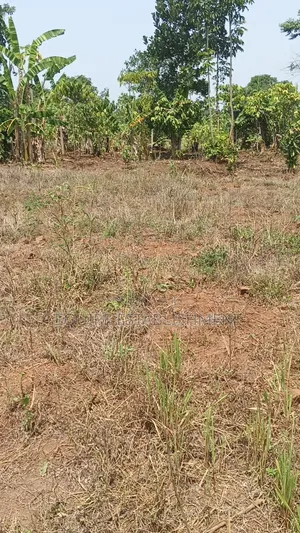 Land for Sale in Kikandwa, Mukono