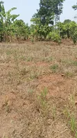 Land for Sale in Kikandwa, Mukono - 1