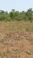 Land for Sale in Kikandwa, Mukono - 2