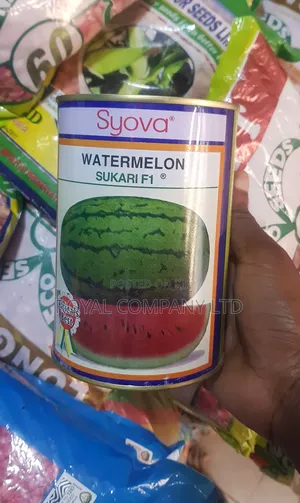 Sukari F1 Watermelon Seeds 250g