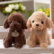 Brand New Dark Brown Poodle Stuffed Animal - 1