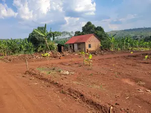 Namayumba-Kyasa Estate Plot 100x50ft at UGX 8m-10m