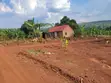 Namayumba-Kyasa Estate Plot 100x50ft at UGX 8m-10m - 1