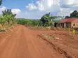 Namayumba-Kyasa Estate Plot 100x50ft at UGX 8m-10m - 2