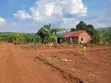 Namayumba-Kyasa Estate Plot 100x50ft at UGX 8m-10m - 3