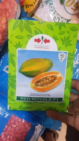 Red Royale F1 Hybrid Papaya Seeds (10 Seeds)