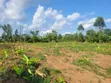 Prime Plots for Sale in Namayumba - 2