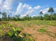 Prime Plots for Sale in Namayumba - 3