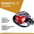 Qunol Liquid CoQ10, Orange Pineapple, 20.3 Fl Oz - 4