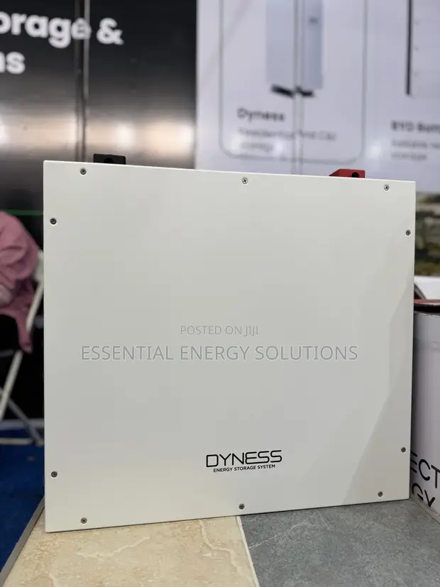 5kWh 48V Dyness Lithium Phosphate Battery - 1