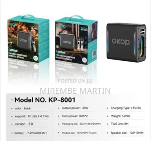 OKOP Portable Karaoke Radio FM Bluetooth Speaker with 2 Wireless Mics
