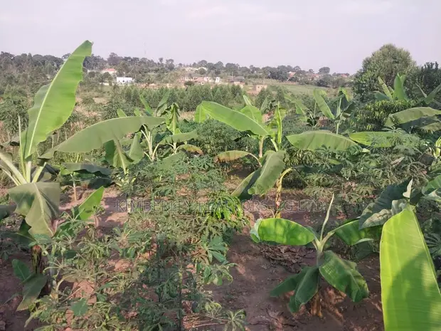 Land for Sale - Matugga Kavule - 1
