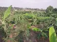 Land for Sale - Matugga Kavule - 1