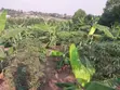 Land for Sale - Matugga Kavule - 2