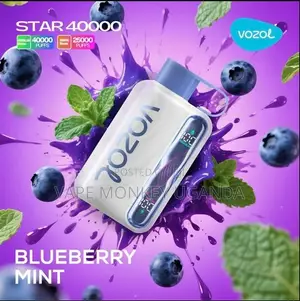 Vozol Star 40,000 Blueberry Mint Disposable Vape