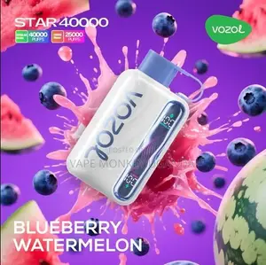 Vozol Star 40000 Disposable Vape - Blueberry Watermelon