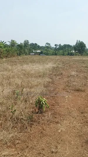 Kibanja for Sale in Kikandwa, Mukono on Kayunga Road