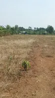 Kibanja for Sale in Kikandwa, Mukono on Kayunga Road - 1