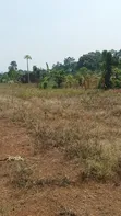 Kibanja for Sale in Kikandwa, Mukono on Kayunga Road - 4