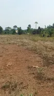 Kibanja for Sale in Kikandwa, Mukono on Kayunga Road - 5