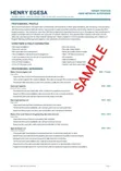 Professional CV & Cover Letter Service - 2