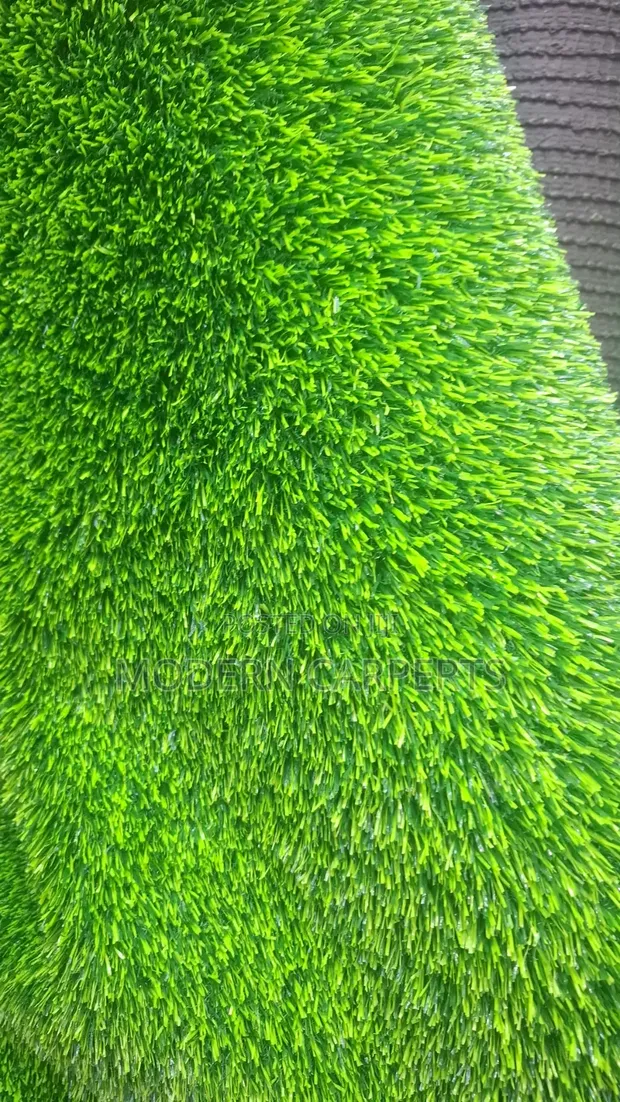 Abic Artificial Turf - 1