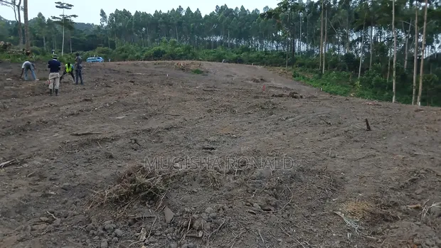 Residential Plots for Sale in Migadde - 1