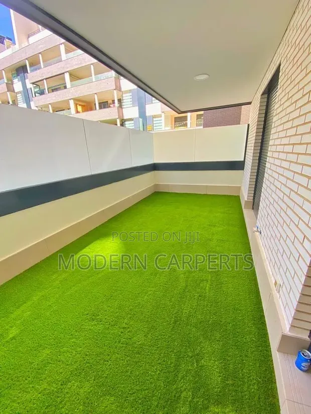 Dric Artificial Turf - 1